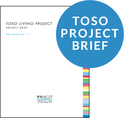 TOSO PROJECT BRIEF